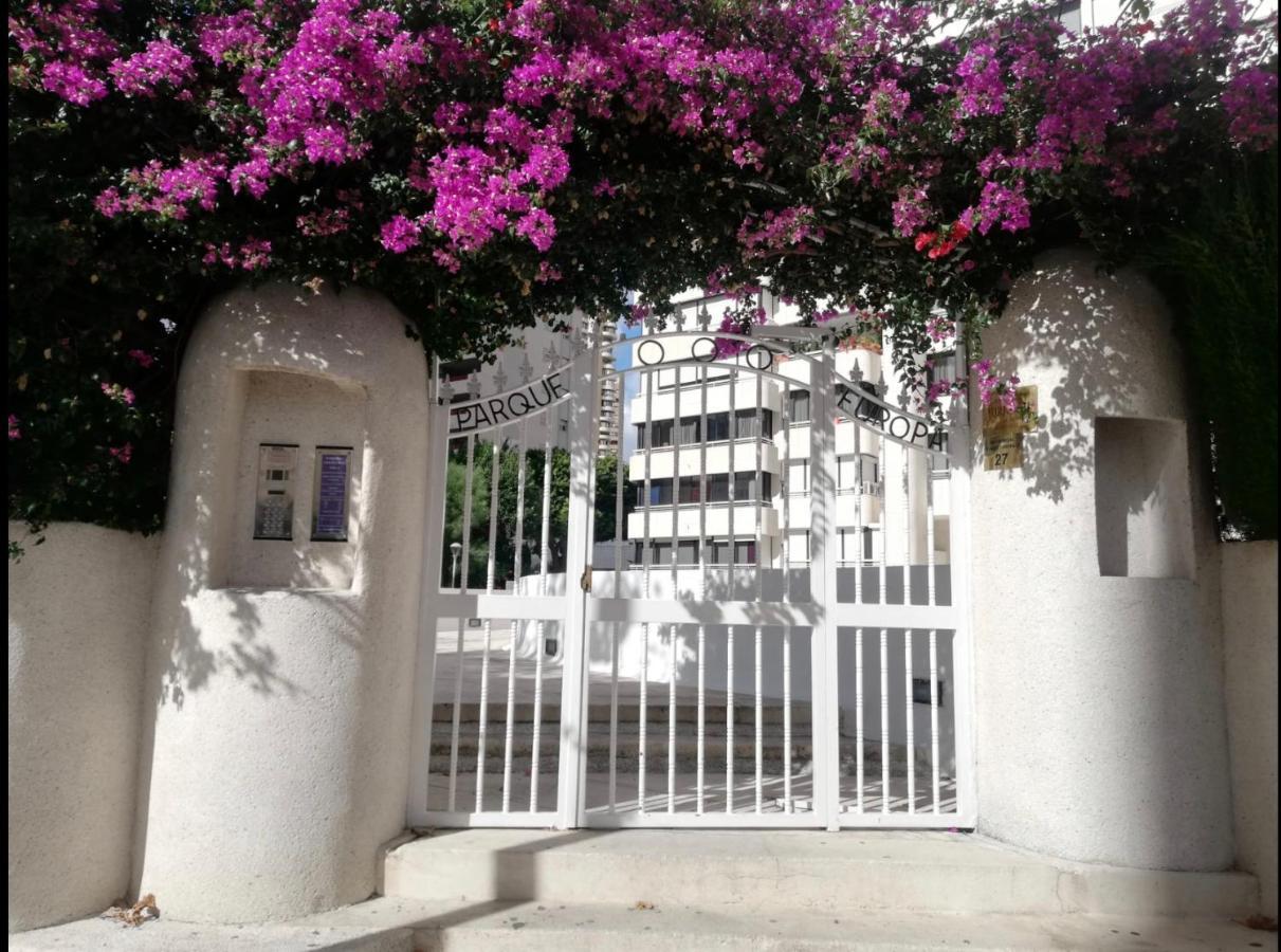Apartamento Coffee Beach En Parque Europa 貝尼多姆 外观 照片